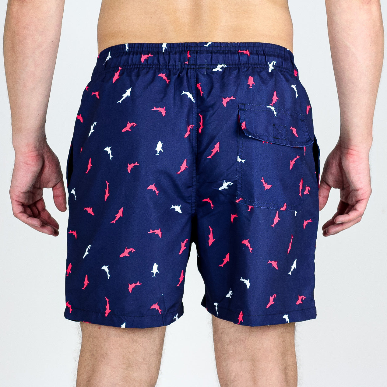 Recife (XS, M, L, XL)